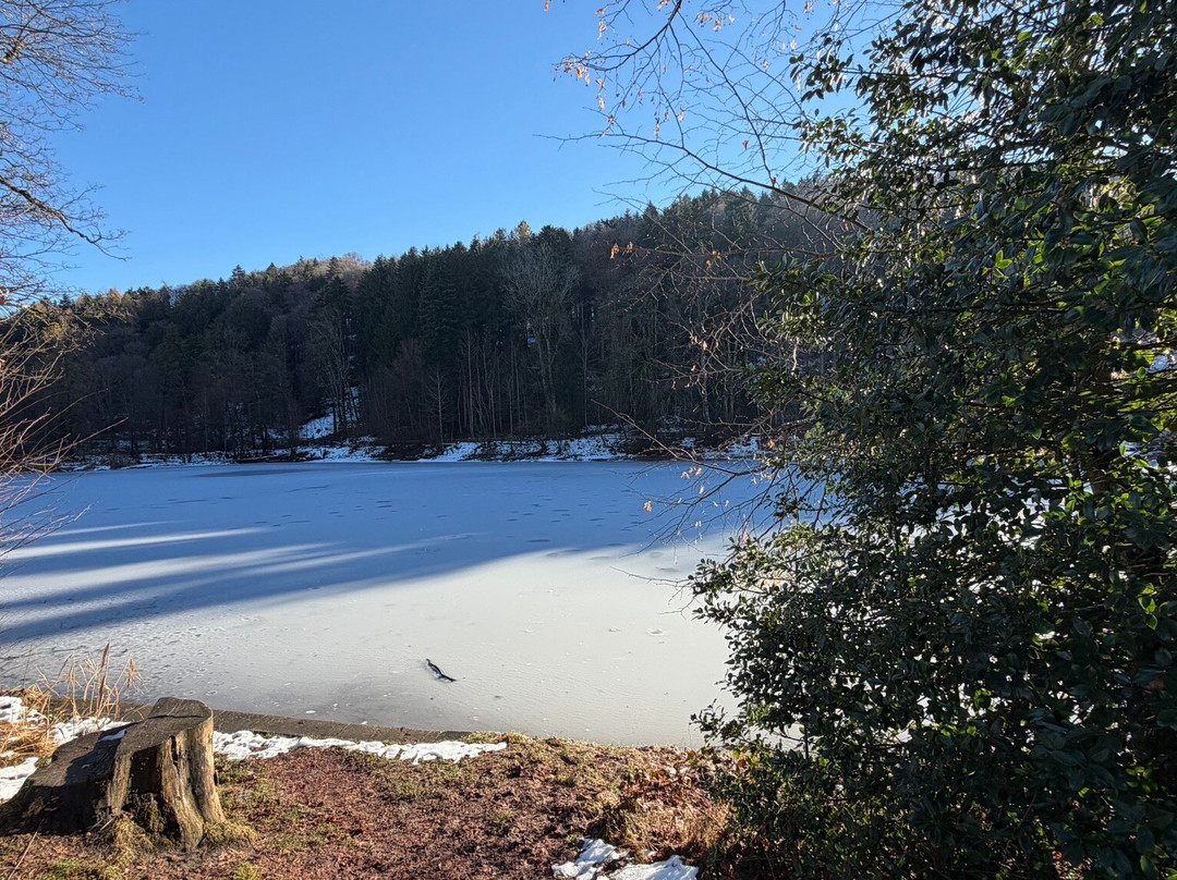Familien- und Gemeinschaftsbad Dreilinden-圣加仑必去景点