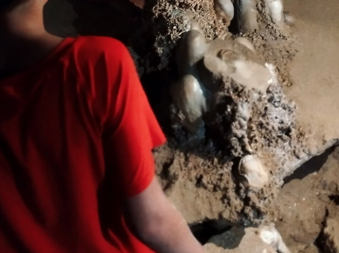 Koh Panak Cave-敖攀牙国家公园必去景点