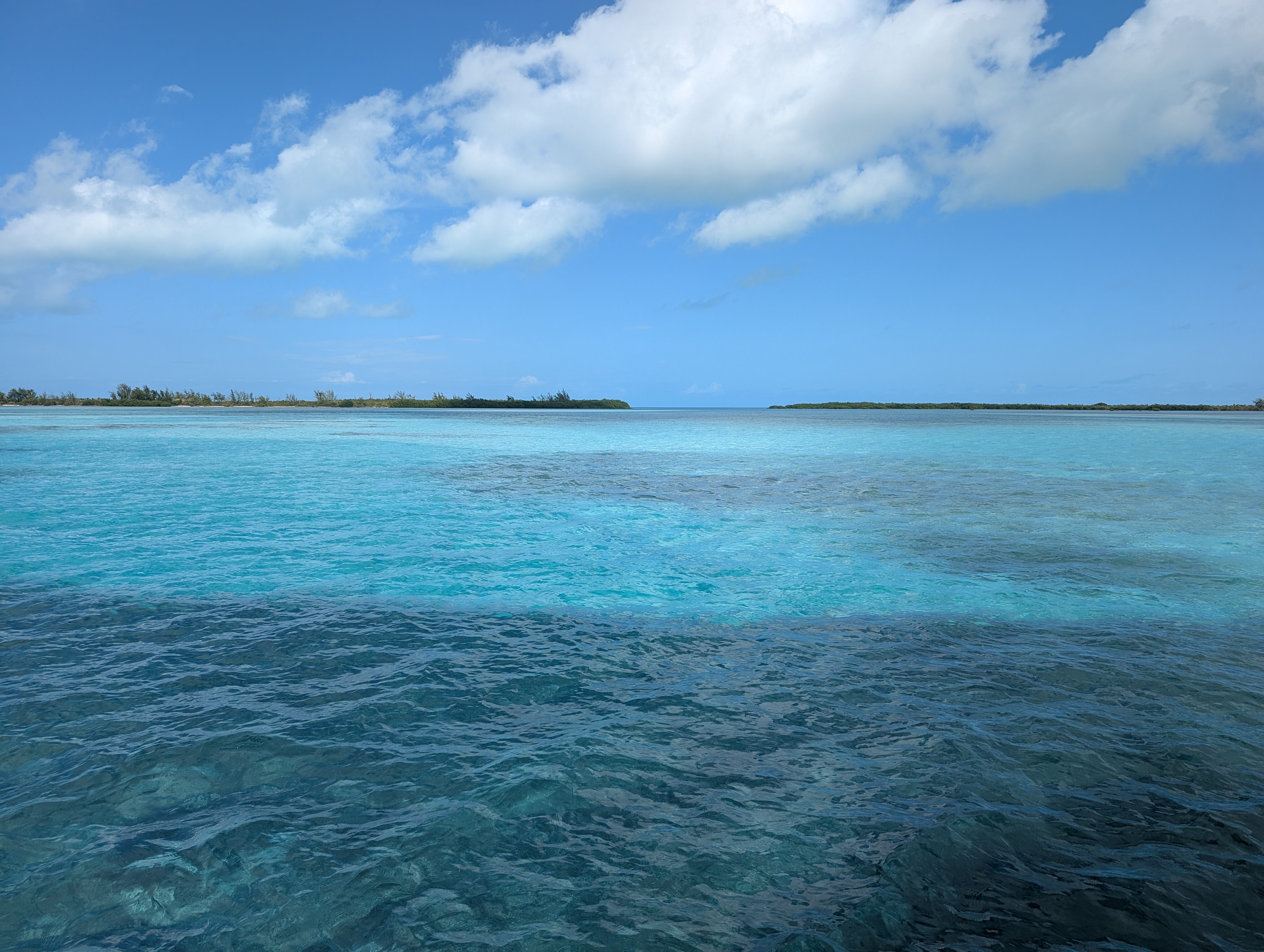 Starfish Cayo Largo-官方