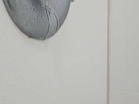 Cottonwood Suites Savannah Hotel & Conference Center