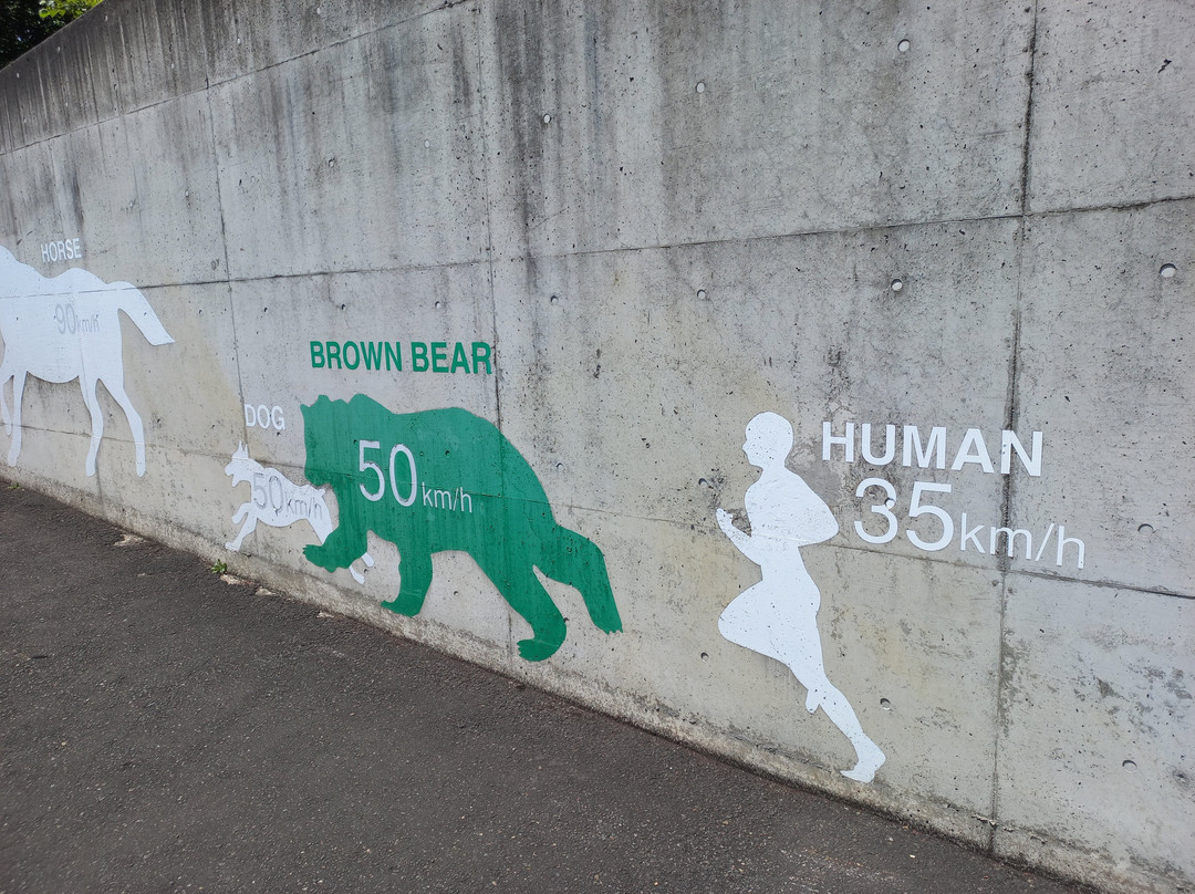 Bear Mountain Sahoro-新得町必去景点