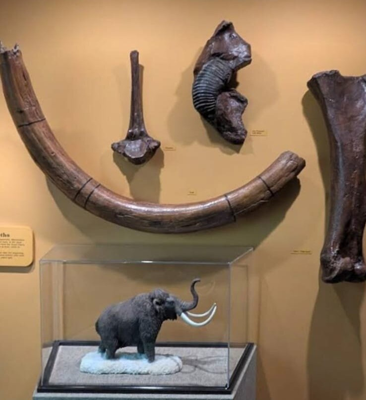 Royal Saskatchewan Museum-里贾纳必去景点