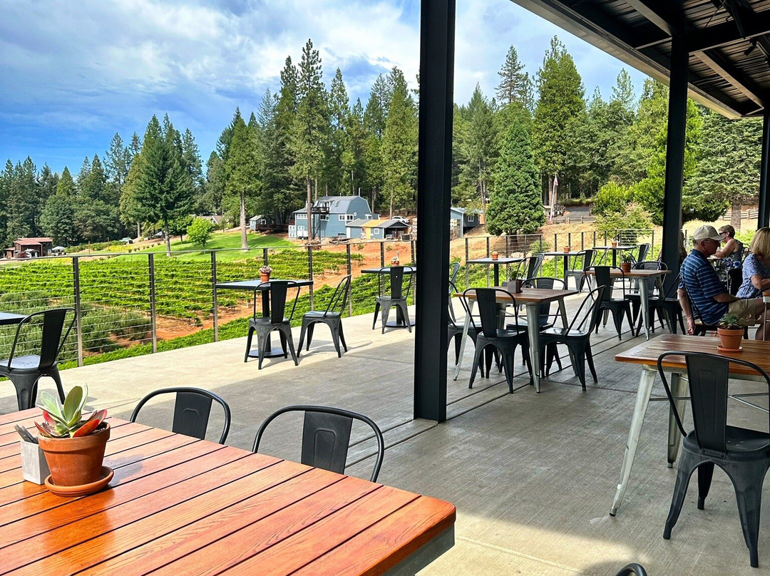 Delfino Farms-Camino必去景点