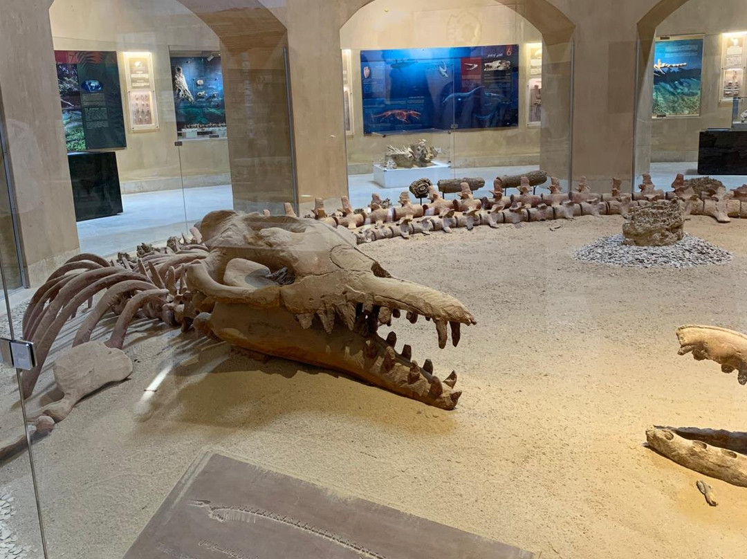 Cairo Top Tours-开罗必去景点