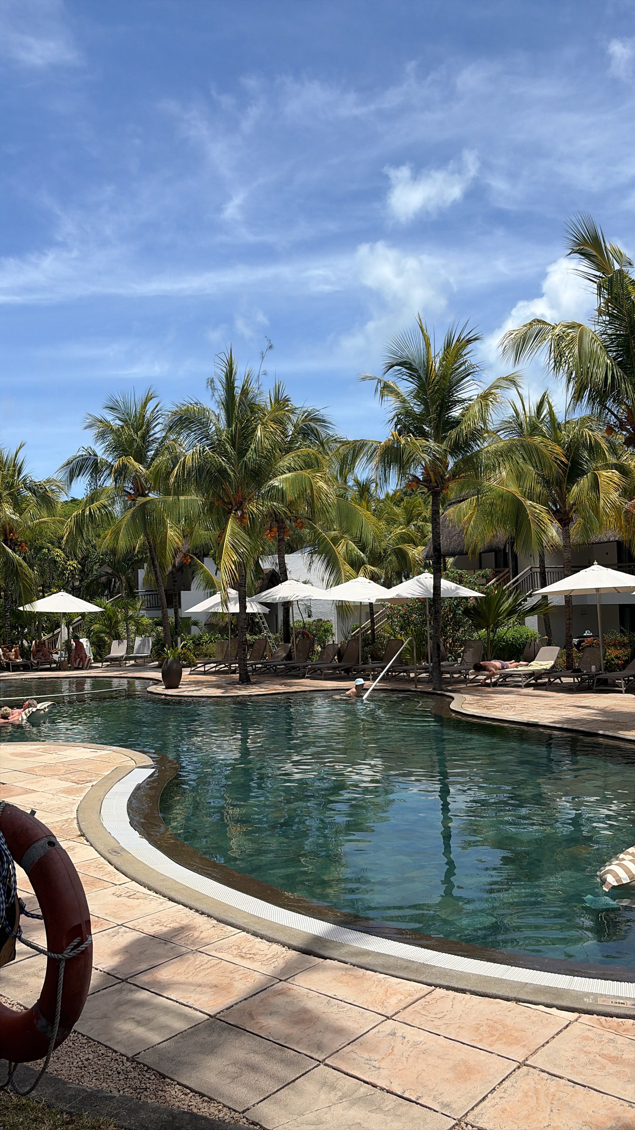 态度炮手角-官方