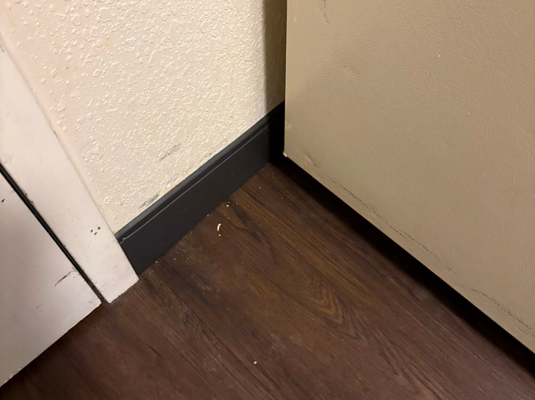 威奇托东北蜡木套房酒店主图