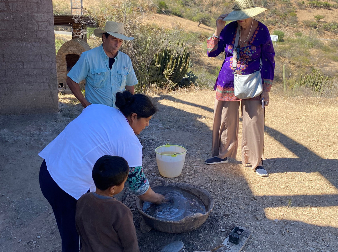 Bio Fan-Tehuacan必去景点
