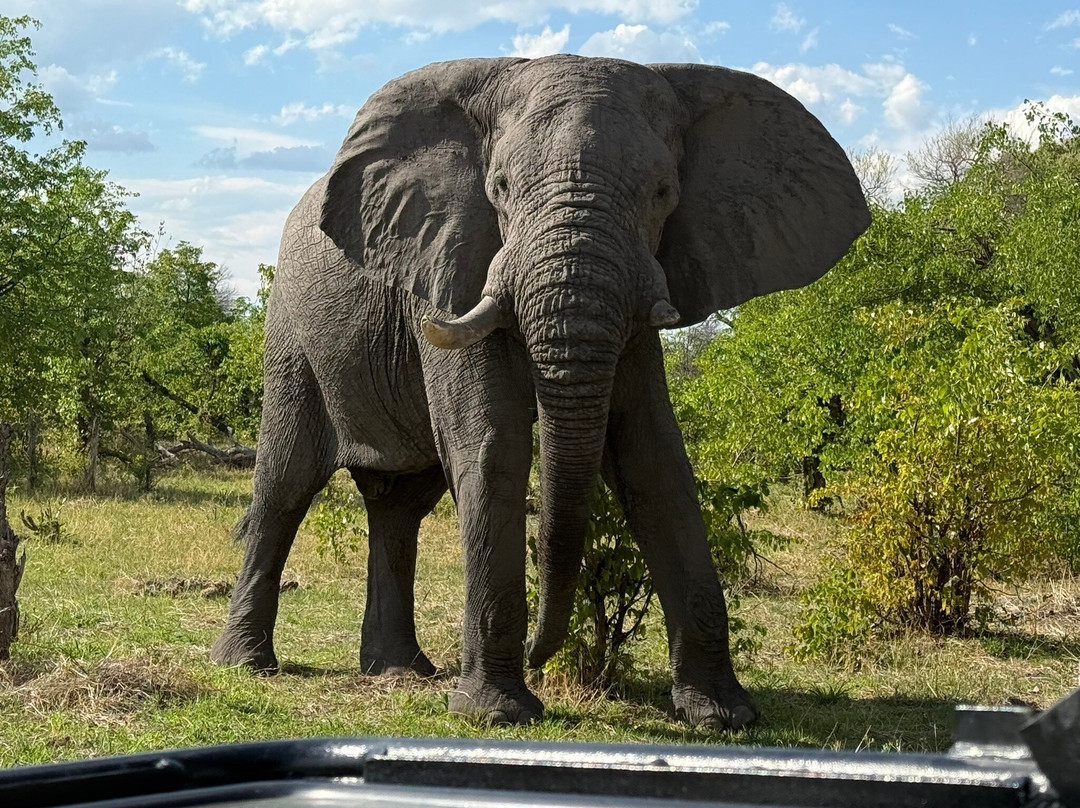 Gondwana Tours & Safaris-马翁必去景点