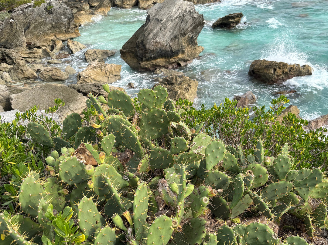 Astwood Park-Warwick Parish必去景点