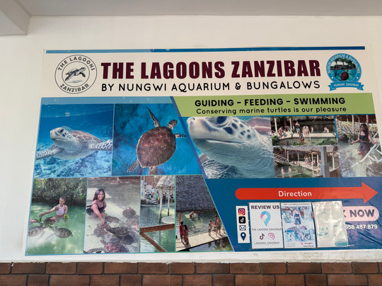 Moha Zanzibar Tours-石头城必去景点