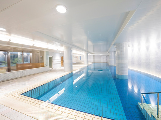 Shonan Village Center主图