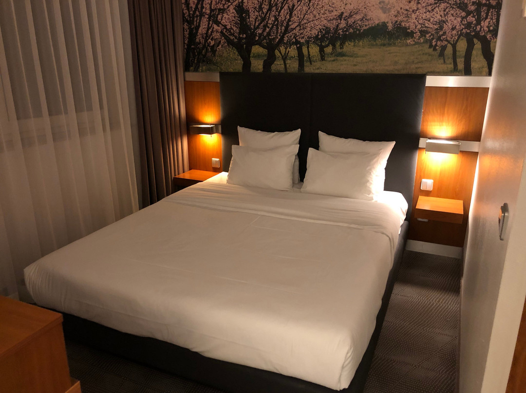 埃朗根诺富特酒店主图