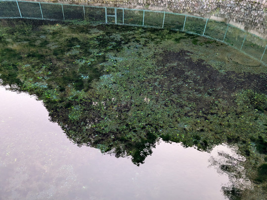 Seizaemon Jigoku Lake-南足柄市必去景点