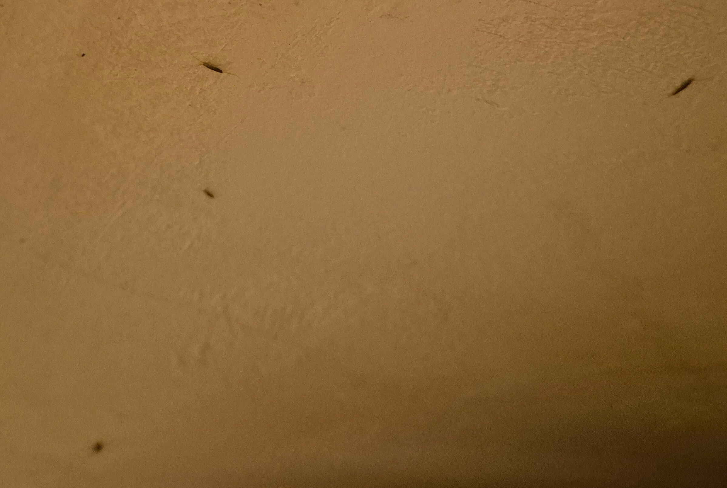 Hotel Colosseo-官方