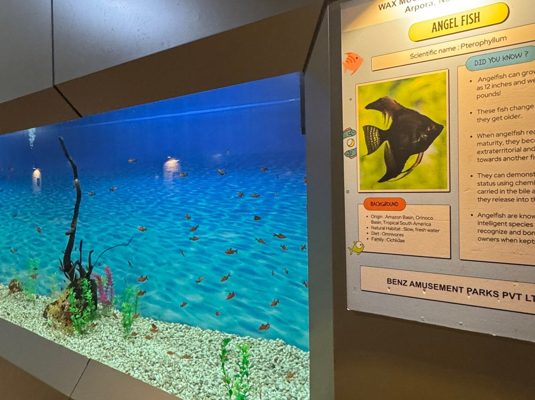 Benz Celebrity Wax Museum-加兰古特必去景点