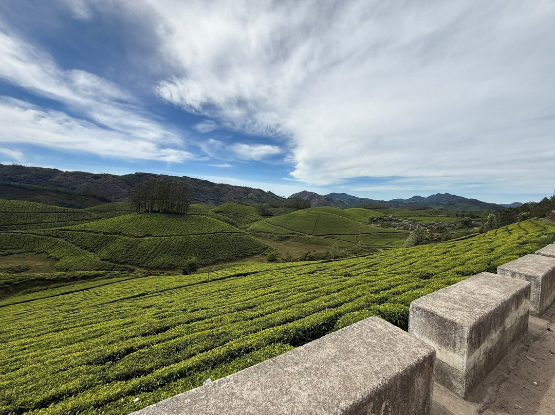 Kochi Taxi 24X7-柯钦必去景点