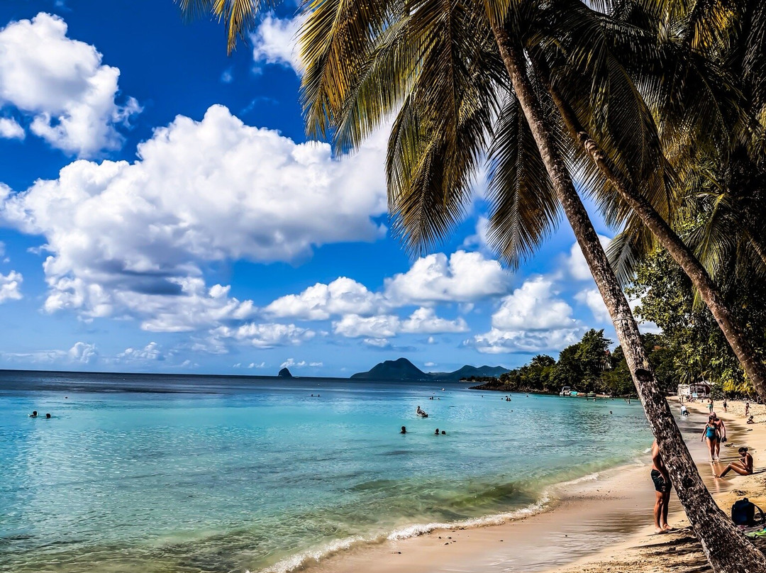 Anse Figuier-Riviere-Pilote必去景点