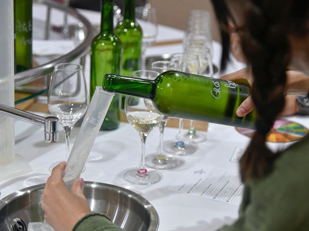 Plaimont-Saint-Mont必去景点