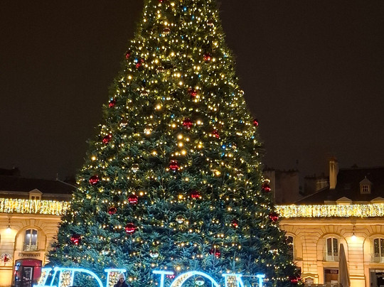 地球的灵魂酒店主图