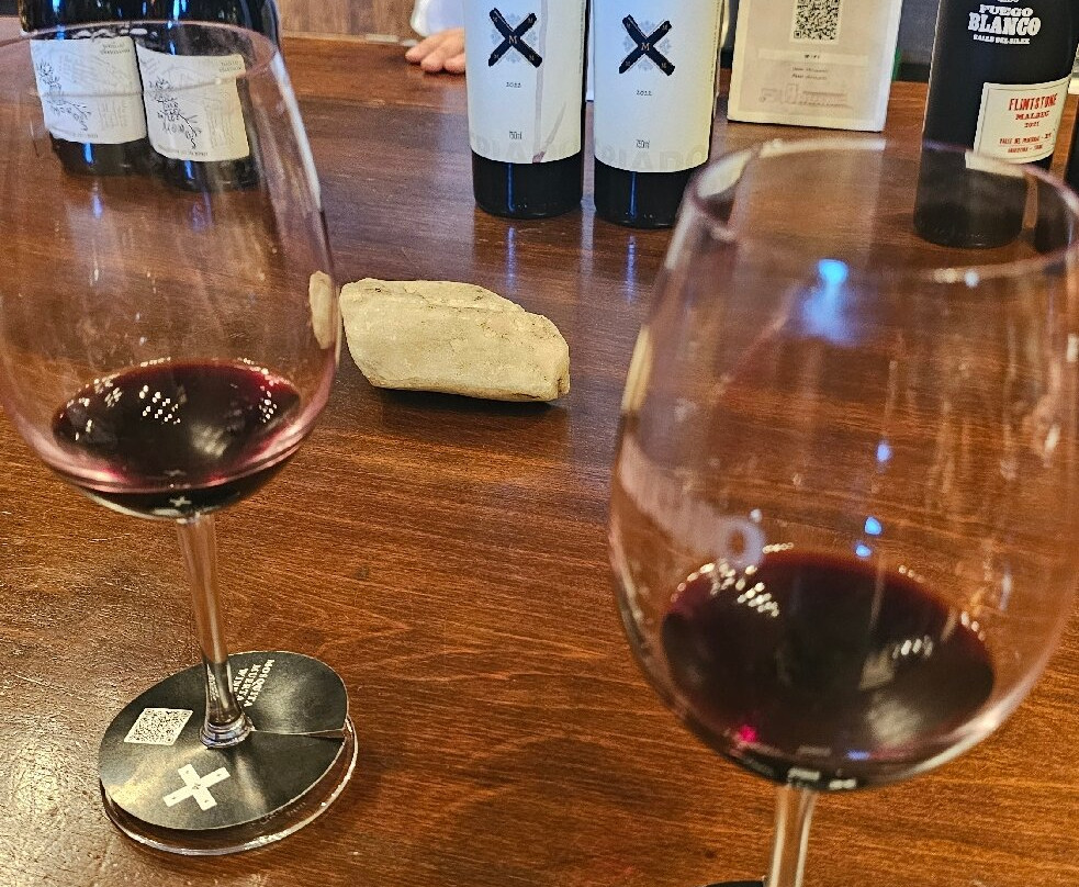 Bodega Los Toneles-门多萨必去景点