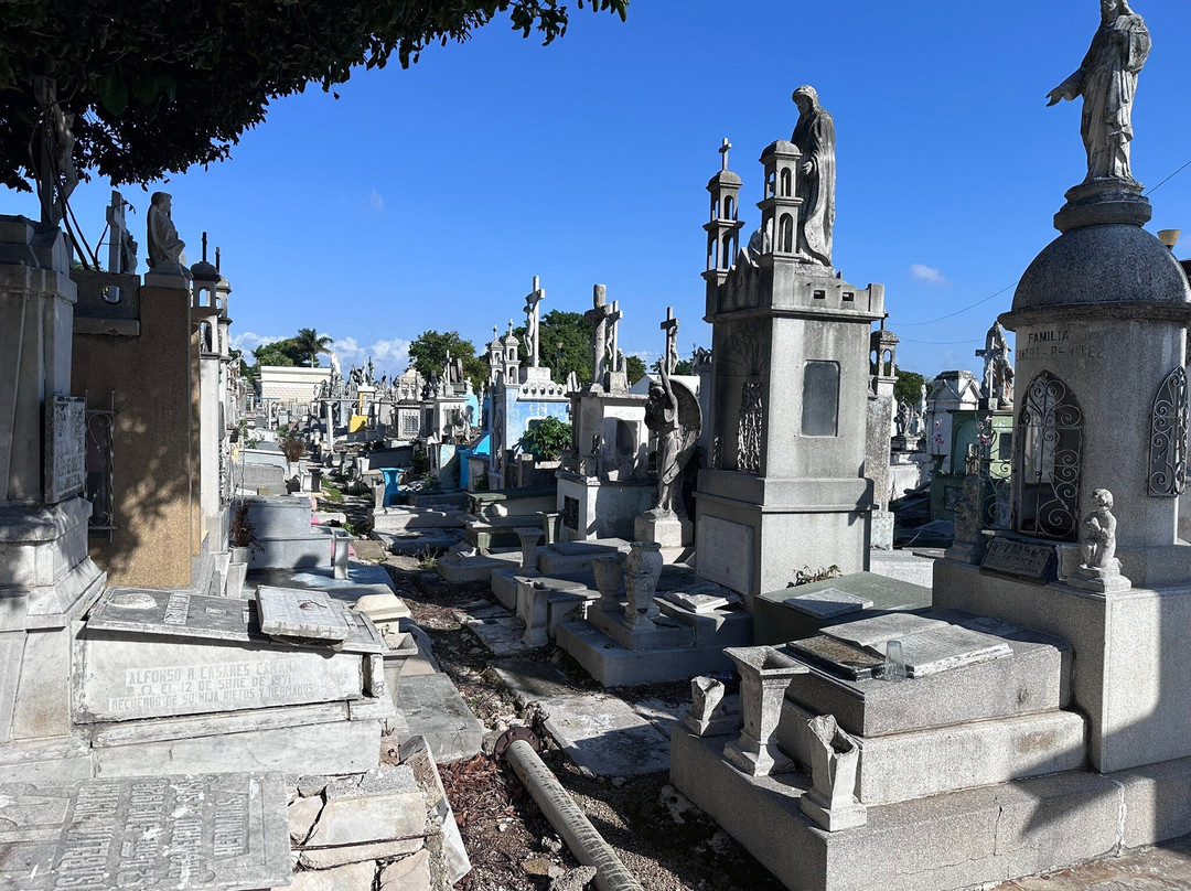 Yucango-梅里达必去景点