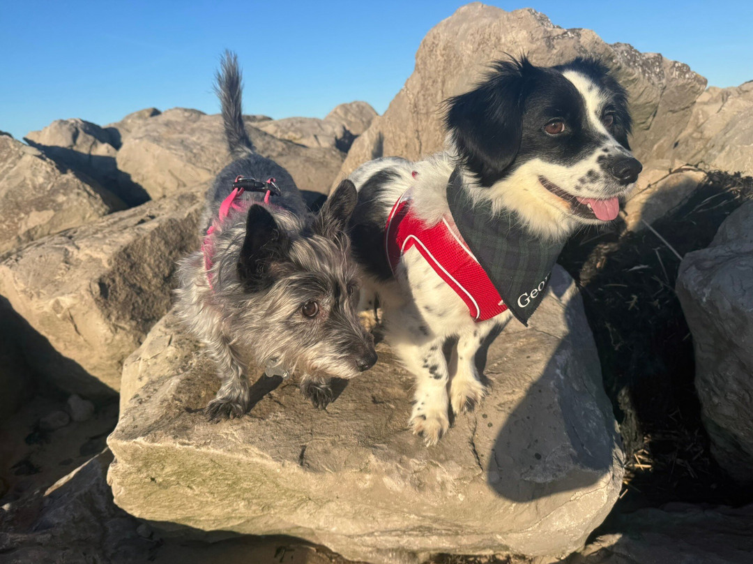 The Dunes Hotel主图