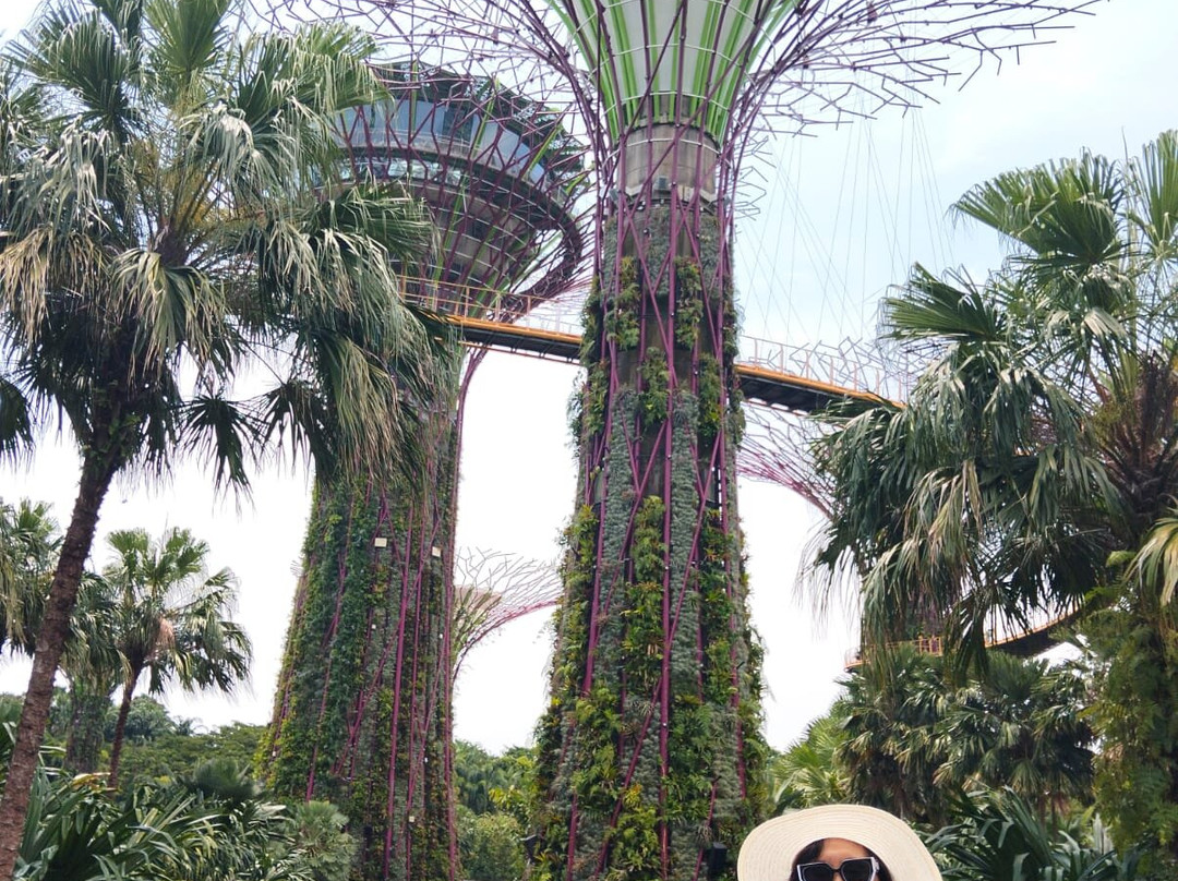 Mario Samuel Sulu Van Der Hall Indonesia-North Minahasa必去景点