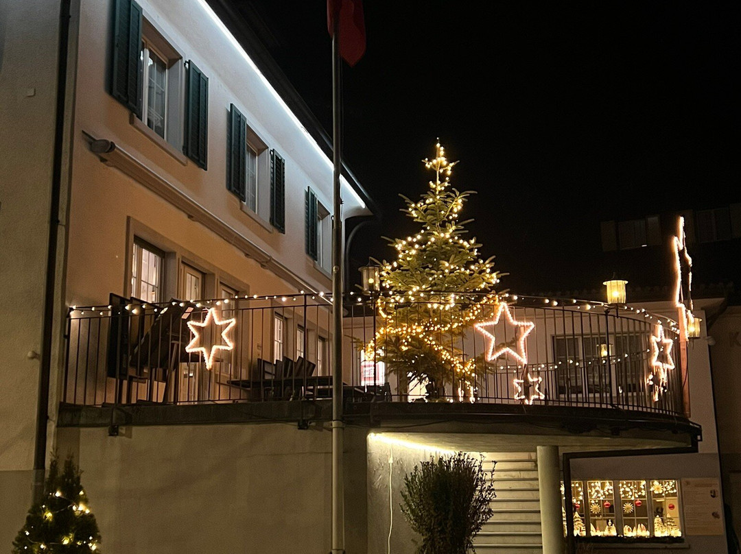 Hotel Schwanen主图