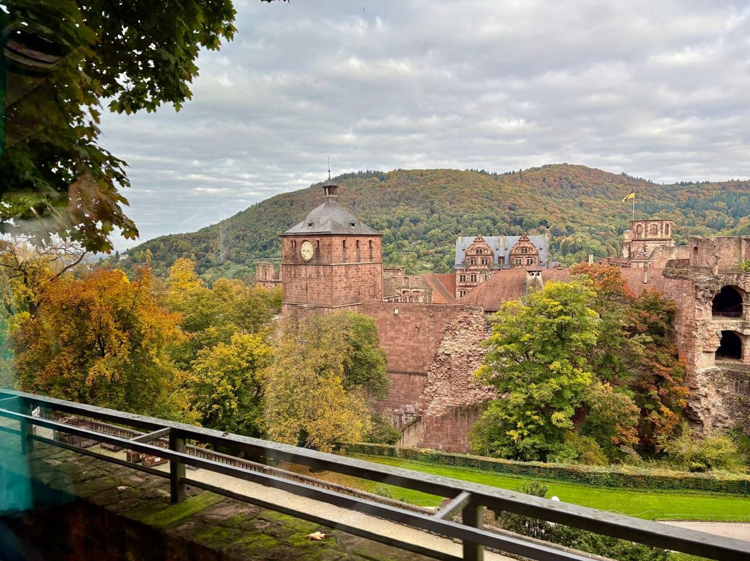 海德堡旧城区-海德尔堡必去景点