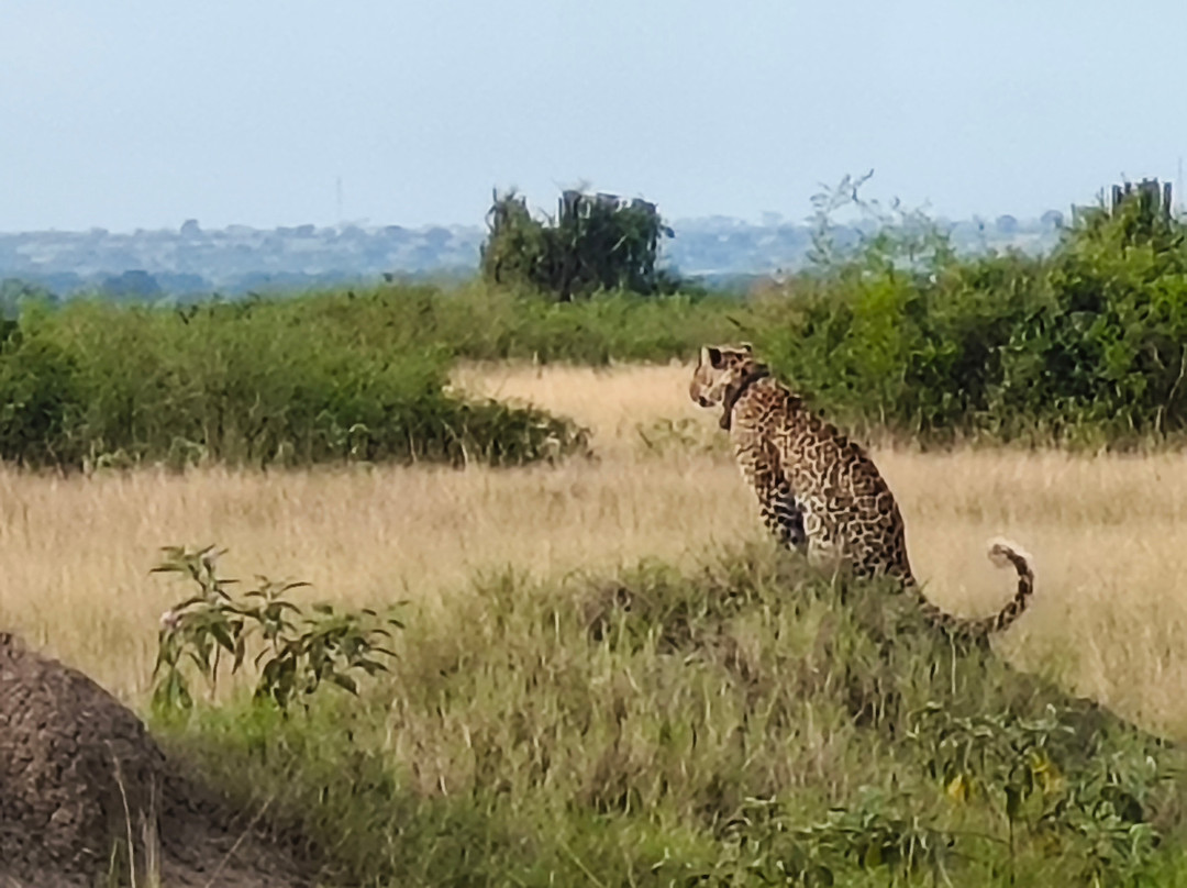Mugenyi Eco Tours-Rubirizi必去景点