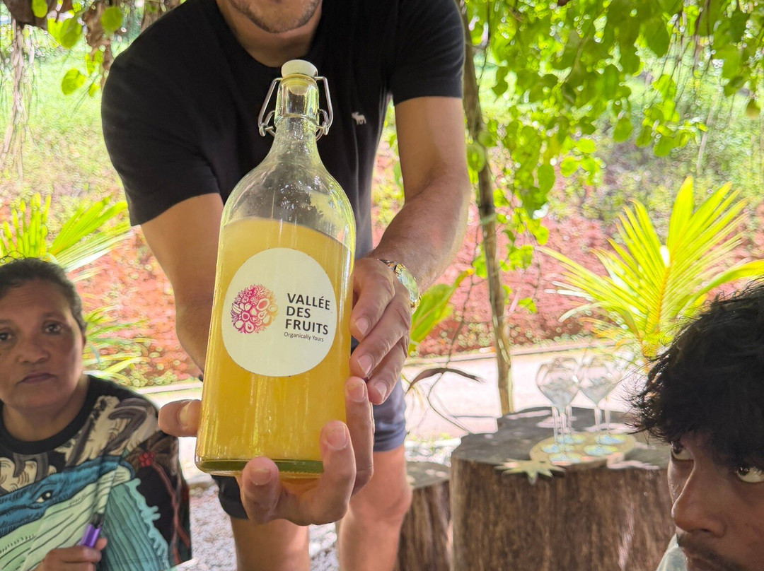 Vallée Des Fruits-大安塞区必去景点