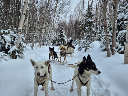 Alaskan du Nord-La Baie必去景点