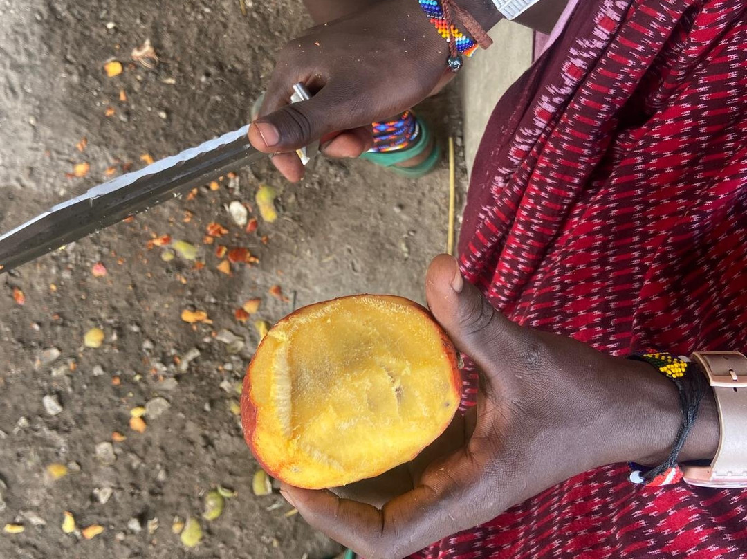 Maasai Village Tour-Pangani必去景点