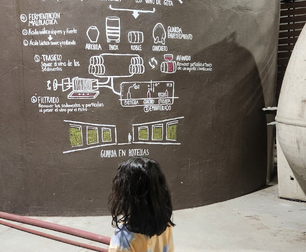 Viu Manent-圣克鲁斯必去景点