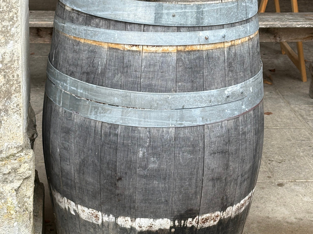 Chateau du Petit Thouars-Saint-Germain-sur-Vienne必去景点