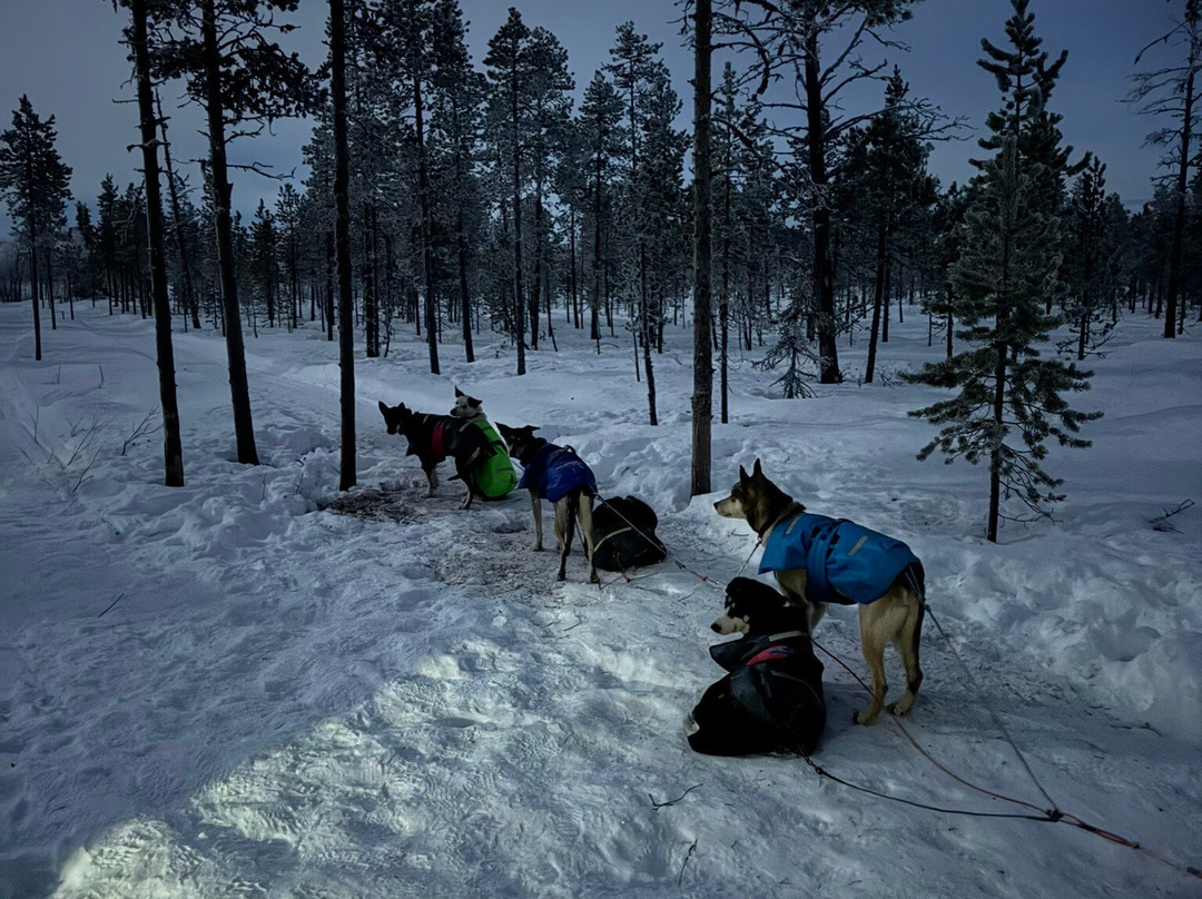Bohemian Lucky Bastards-Jukkasjarvi必去景点