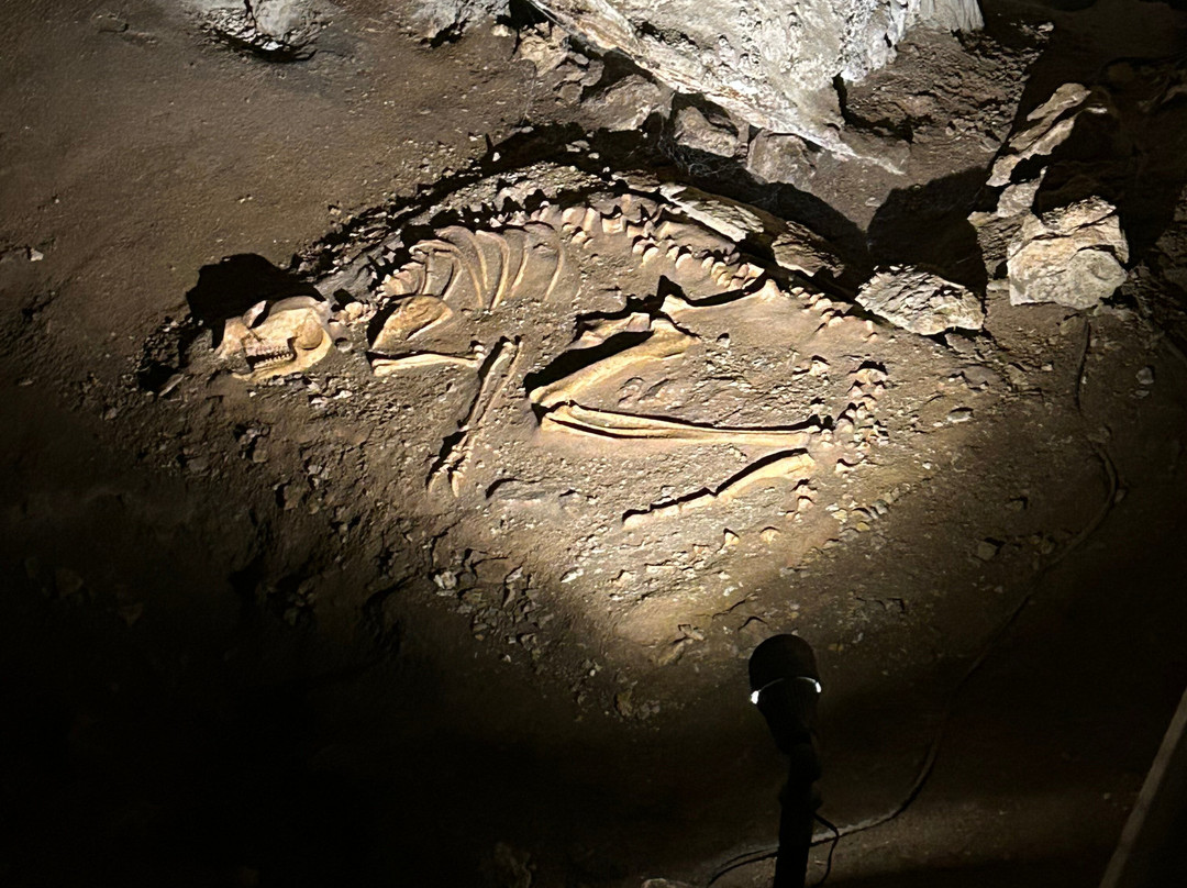 Mammoth Cave-Boranup必去景点