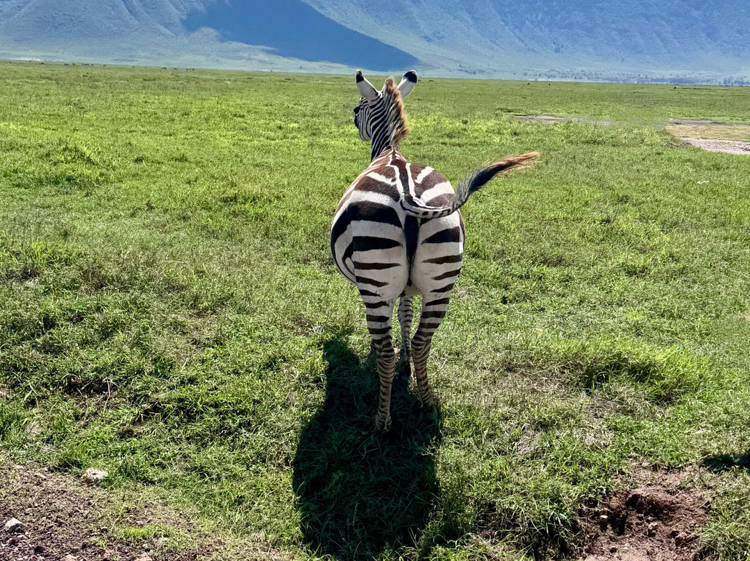 Great Escape Trails-莫西必去景点