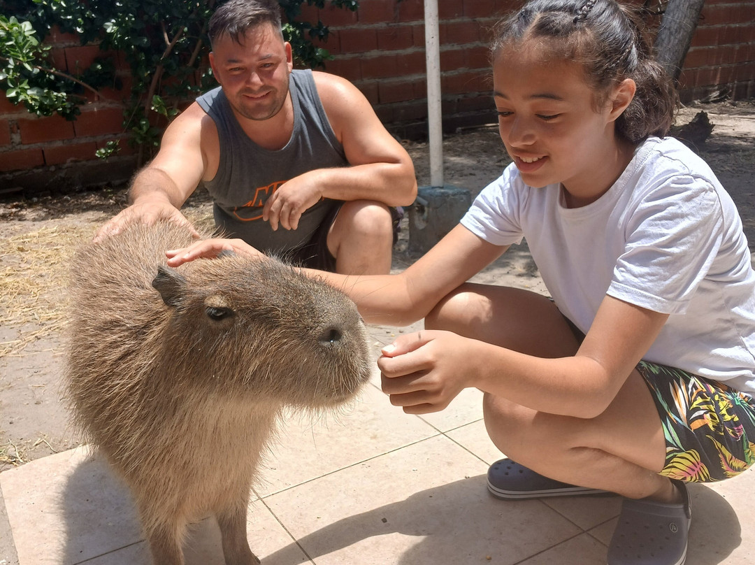 Museo Acuario Federacion-Federación必去景点