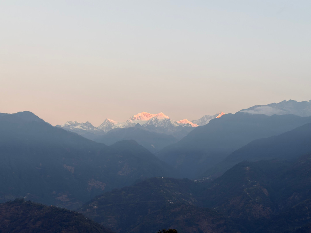 Grains Pure Veg By Udaan Khang-chen View