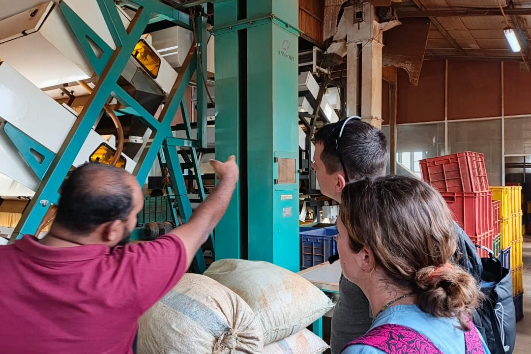 Knuckles Trail Blazers-Kandy District必去景点