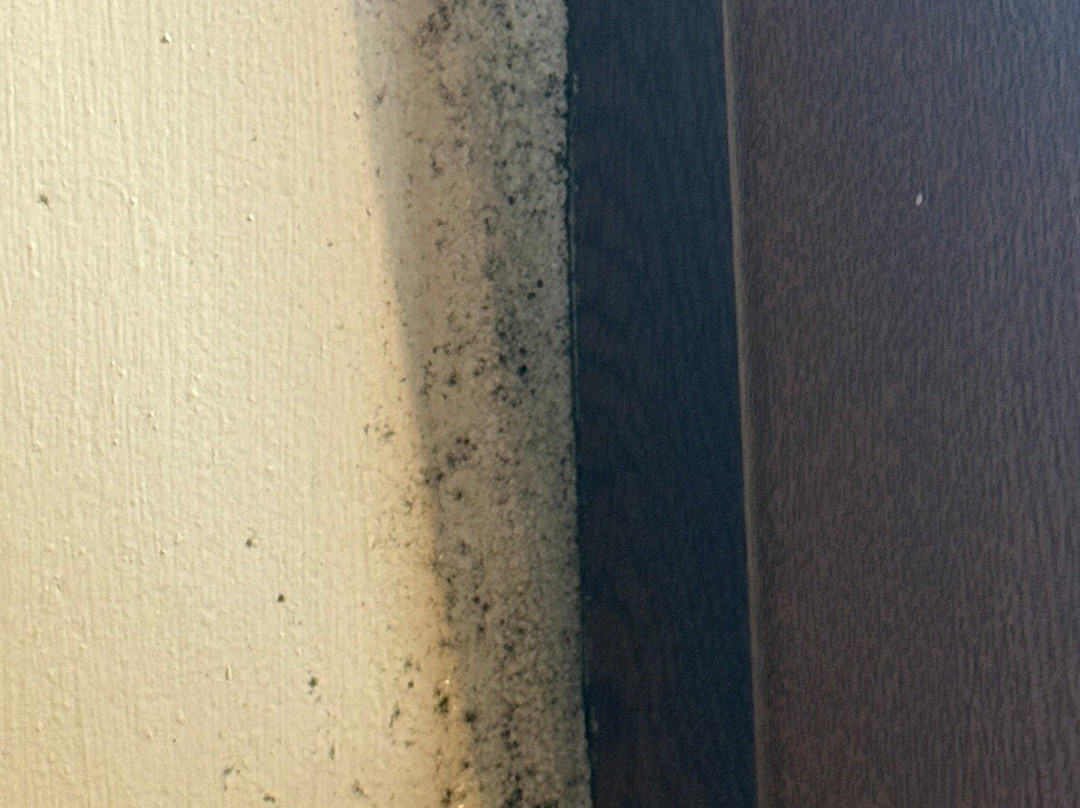 Sa Calma Hotel主图