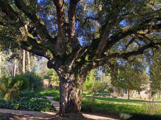 Azeite Casa Anadia - Olive Oil & Tours-Abrantes必去景点