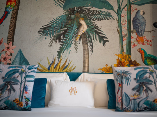 阿拉西奥大酒店主图