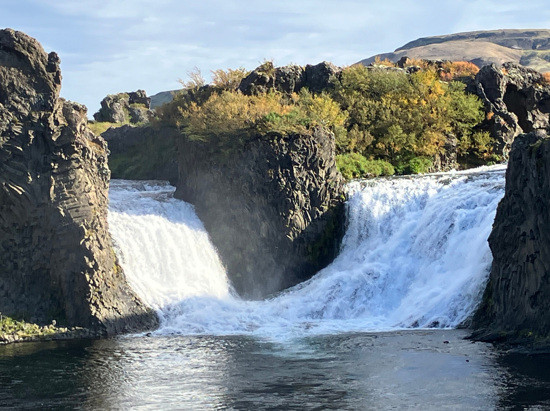 ToursByLocals - Reykjavik Tours-雷克雅未克必去景点