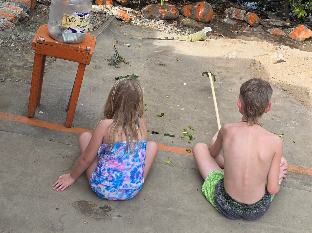 Xplore Sxm-马霍必去景点