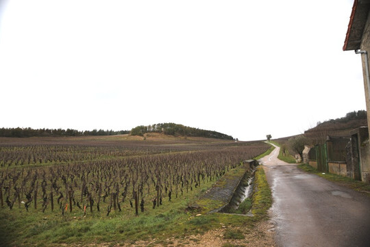 Domaine Philippe Et Fabienne Menand-Mercurey必去景点