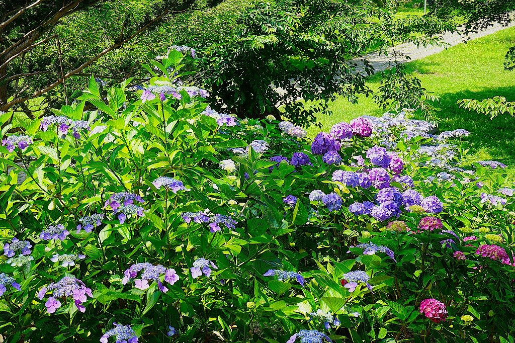 善光寺-伊达市必去景点