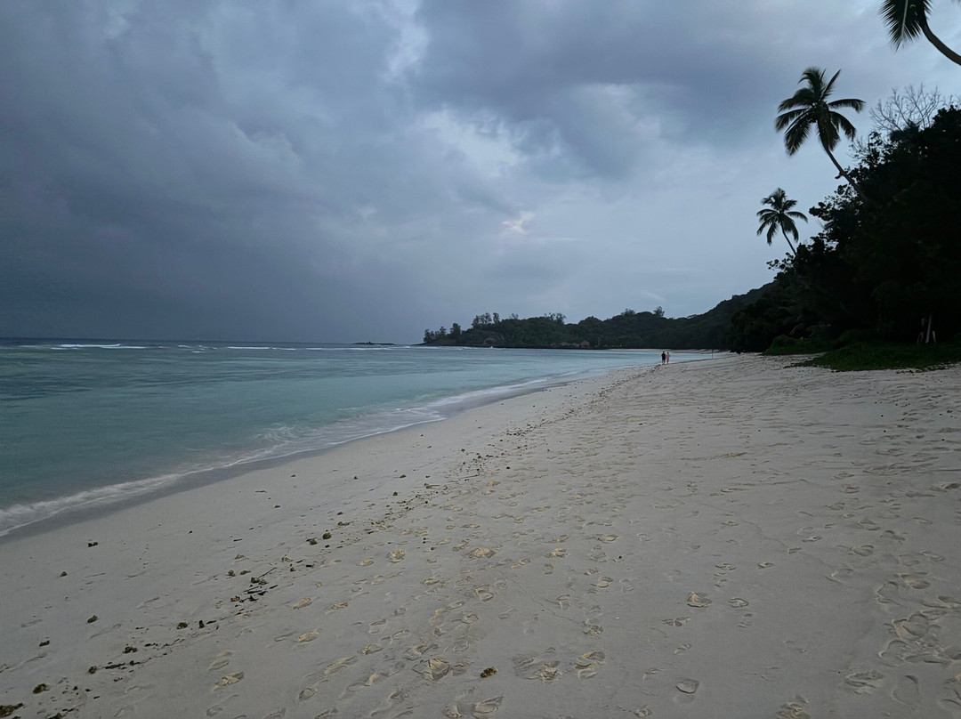 Niva Labriz Seychelles