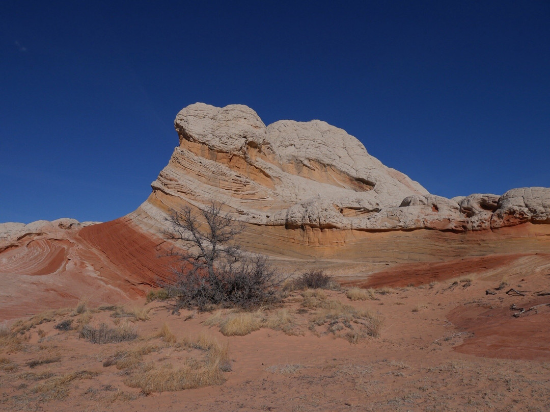 East Zion Adventures-Orderville必去景点